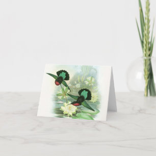 Cartão Gould Hummingbirds Waterlilies Note Cards