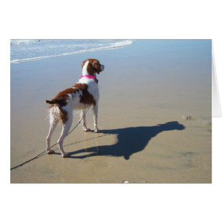 CARTÃO GRÃ-BRETANHA NA PRAIA