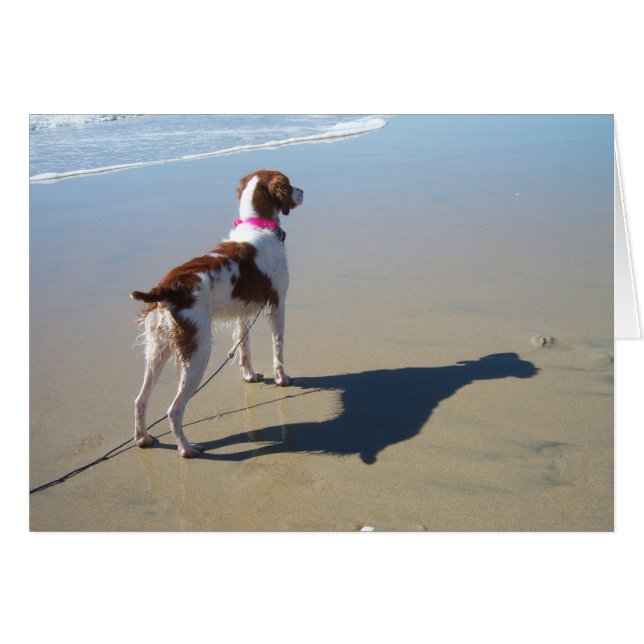 CARTÃO GRÃ-BRETANHA NA PRAIA (Frente Horizontal)