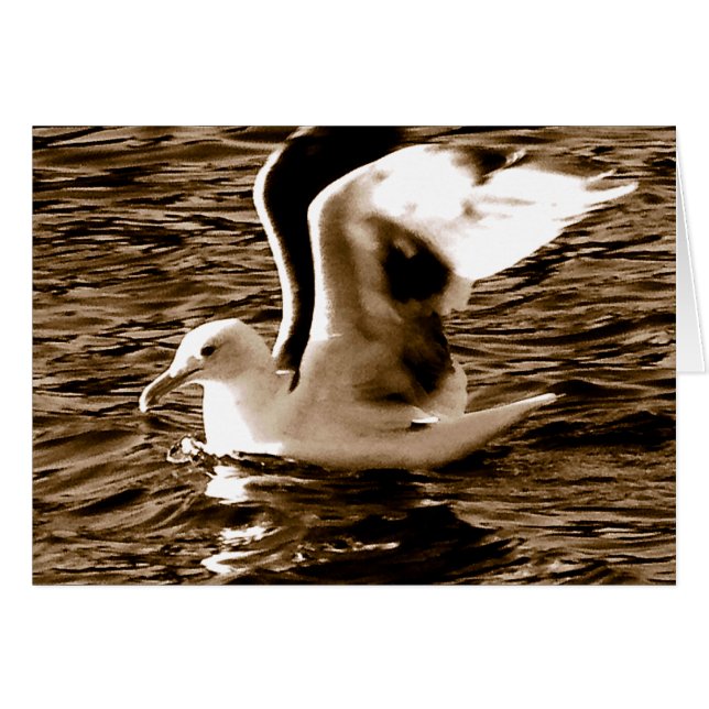 Cartão Grace_ (Frente Horizontal)