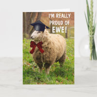 Graduação Classy Sheep
