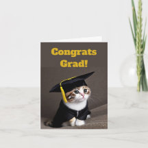 Graduação De Gatinhos Bons
