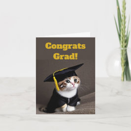 Cartão Graduação De Gatinhos Bons