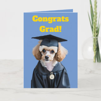 Cartão Graduação de Poodle Branco e Castanho