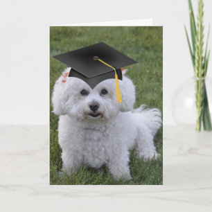 Cartão Graduação do Boné preto Bichon