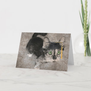 Cartão Graduação Engraçada, Kitten Olhado