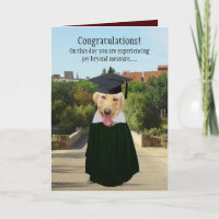 Graduação Engraçado Cão/Laboratório