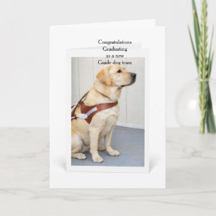 Cartão Graduação Equipe de Cão Guia Amarelo Labrador