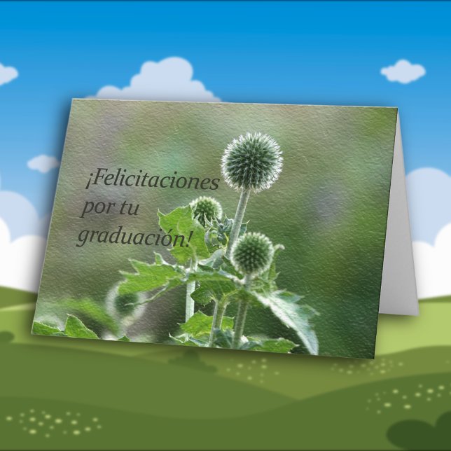 Cartão Graduação espanhola (Criador carregado)