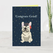 Graduação, Parabéns Graduado! Bulldog Francês