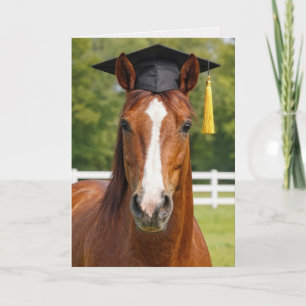 Cartão Graduado Cavalo Castanho