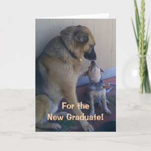 Cartão Graduation Congratulations Dogs