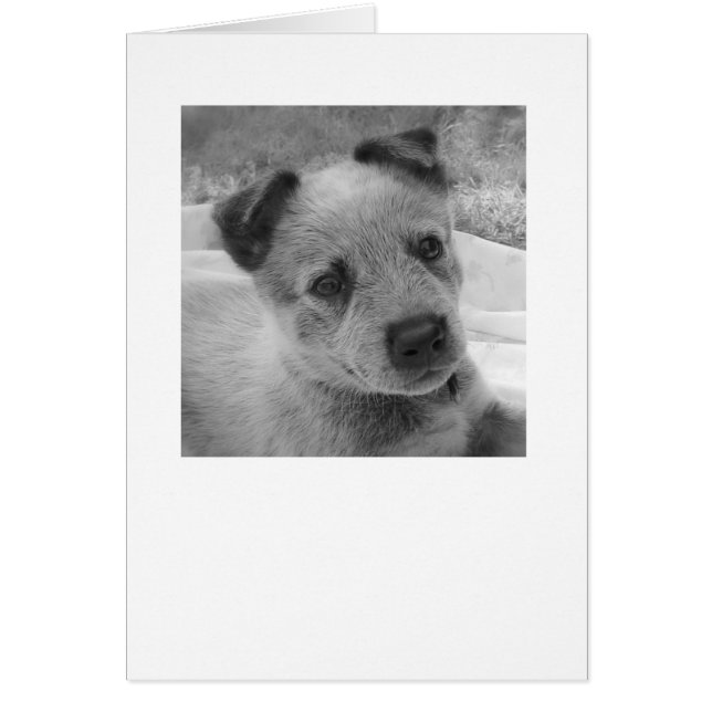 Cartão Grady (Frente)