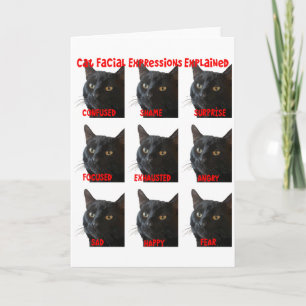 Cartão Gráfico de Expressões Faciais de Gatos Explicado R