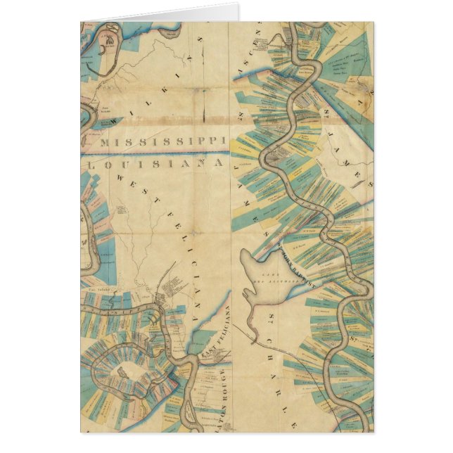 Cartão Gráfico do Rio Lower Mississippi (Frente)