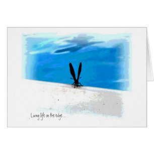 Cartão Gráficos de Sillouette Butterfly