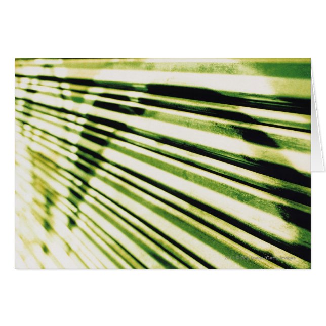 Cartão Grafites em um obturador (Frente Horizontal)