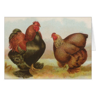 Cartão Graham - galinhas de Cochin da perdiz