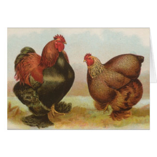 Cartão Graham - galinhas de Cochin da perdiz