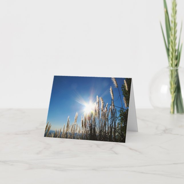 Cartão Grama bonita Notecard da manhã (Frente)