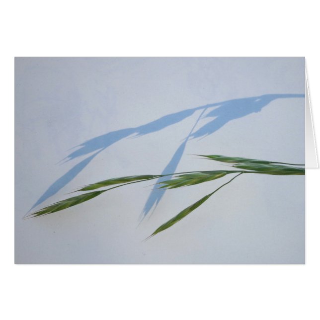 Cartão Grama e sombra (Frente Horizontal)