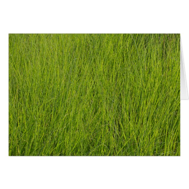 Cartão Grama Verde (Frente Horizontal)