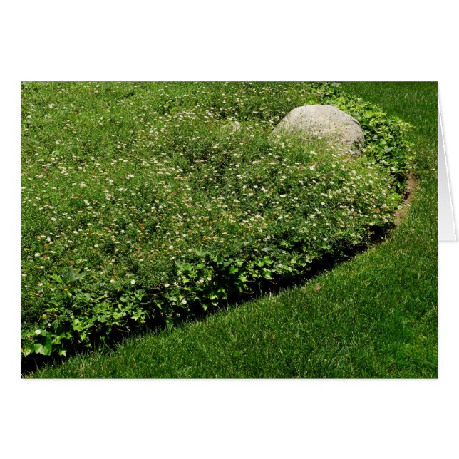 Cartão Grama Verde Flores Selvagens (Frente Horizontal)