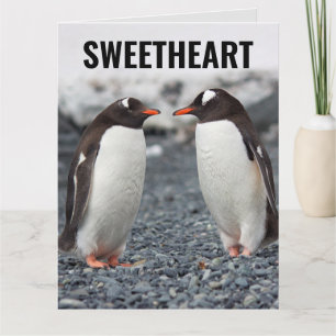 CARTÃO GRANDE AMOR ROMÂNTICO DE PINGUIM