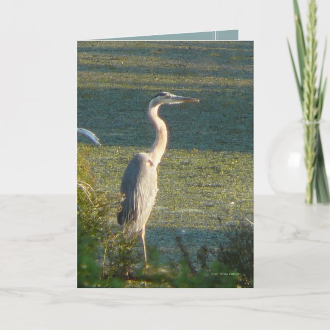 Cartão Grande azul (Frente)