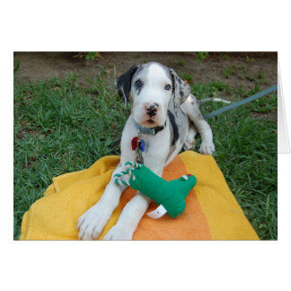 Cartão Grande cachorrinho de Dane