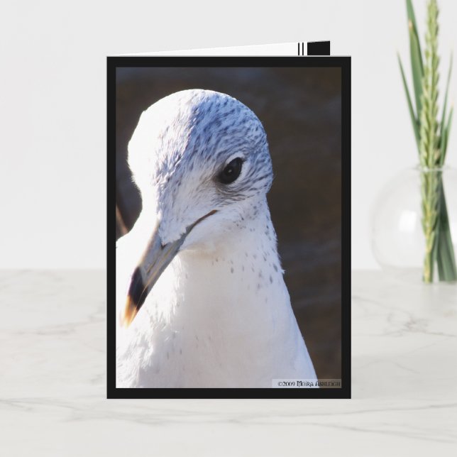 Cartão Grande contraste (Frente)