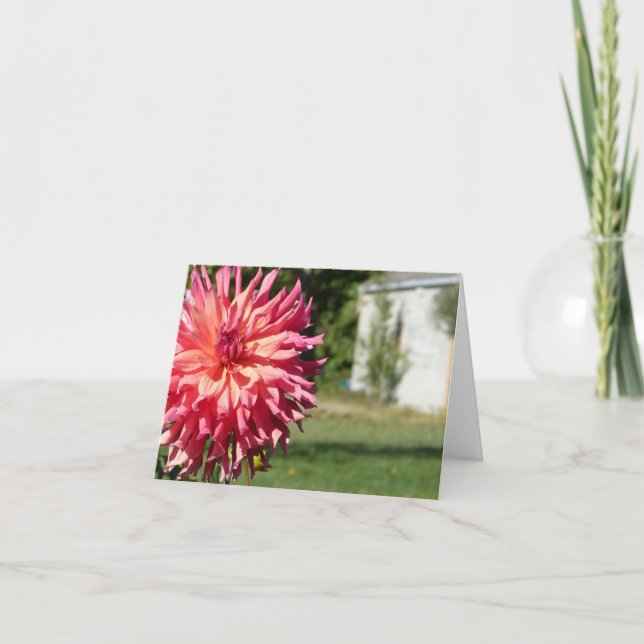 CARTÃO "GRANDE DÁLIA COR-DE-ROSA" NOTECARD (Frente)