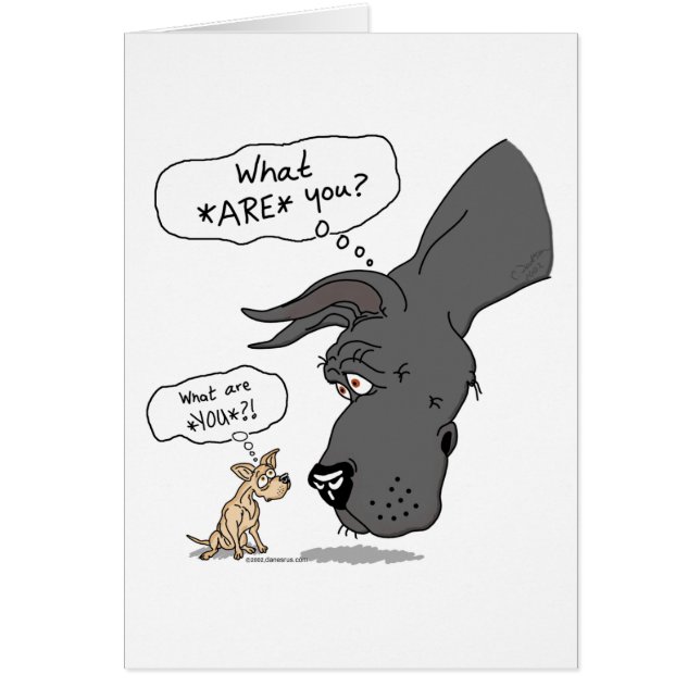 Cartão Grande Dane e Chihuahua Black (Frente)