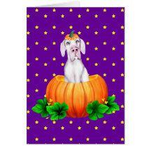 Grande Dane Halloween White UC Dane-O-Lantern