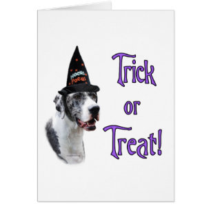 Cartão Grande Dane (Merle) Trick