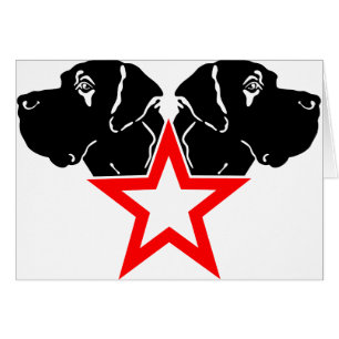 Cartão Grande Dane Star Head