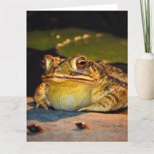 Cartão Grande Dedo Gordo