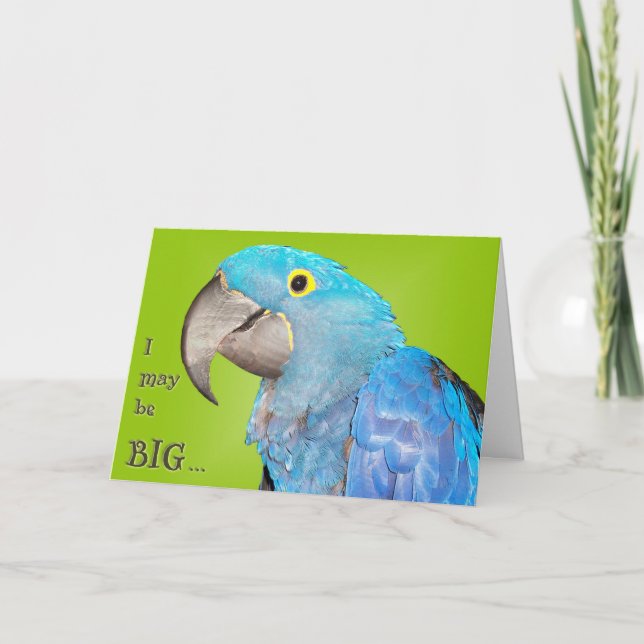 Cartão Grande e Loveable (Frente)