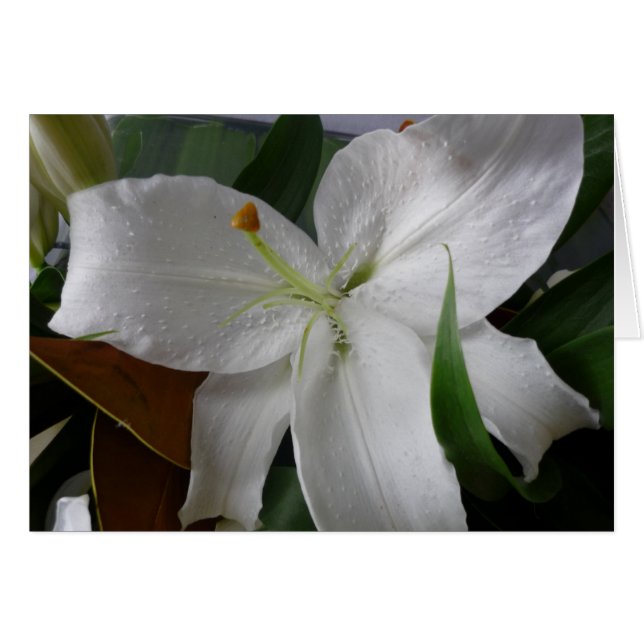 Cartão grande flor branca (Frente Horizontal)