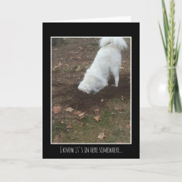 Cartão Grandes Pyrenees