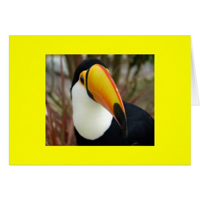 CARTÃO GRÃO CHEERFUL (Frente Horizontal)