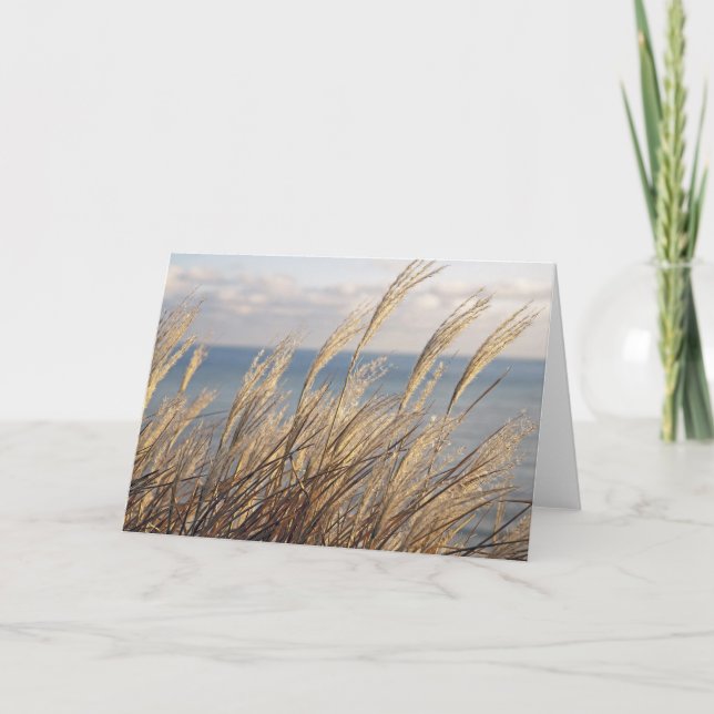 Cartão Grãos (Frente)