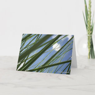 Cartão Grass Prism  - Notecard