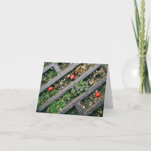 Cartão Grata de Ferro e Berries - Notecard