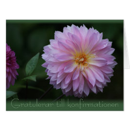 Cartão Gratulerar até konfirmationen CC0504 Grande