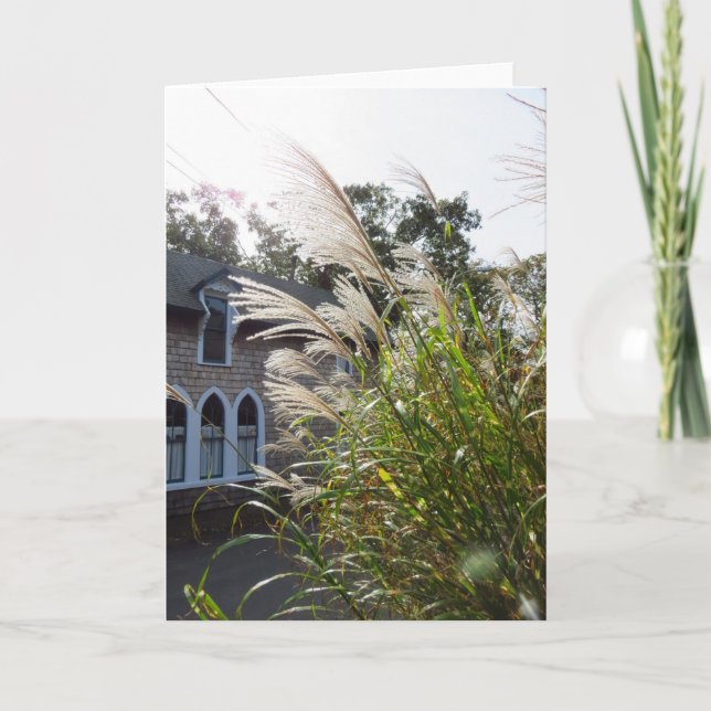 Cartão Graus Altos Arrancados Janelas - Vineyard de Marth (Frente)