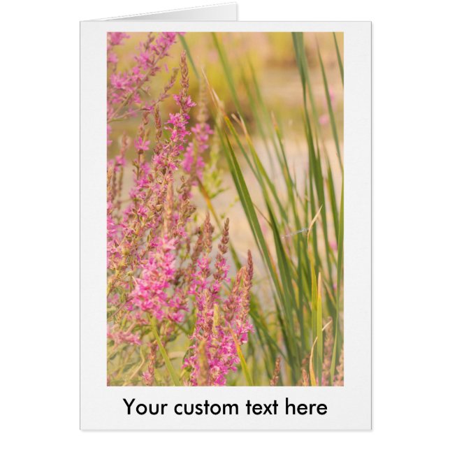 Cartão Graus e Flores de Verão (Frente)