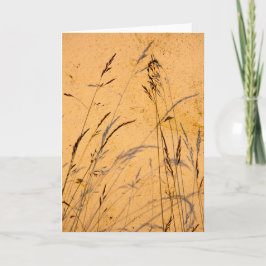 Cartão Graus E Sombras De Verão