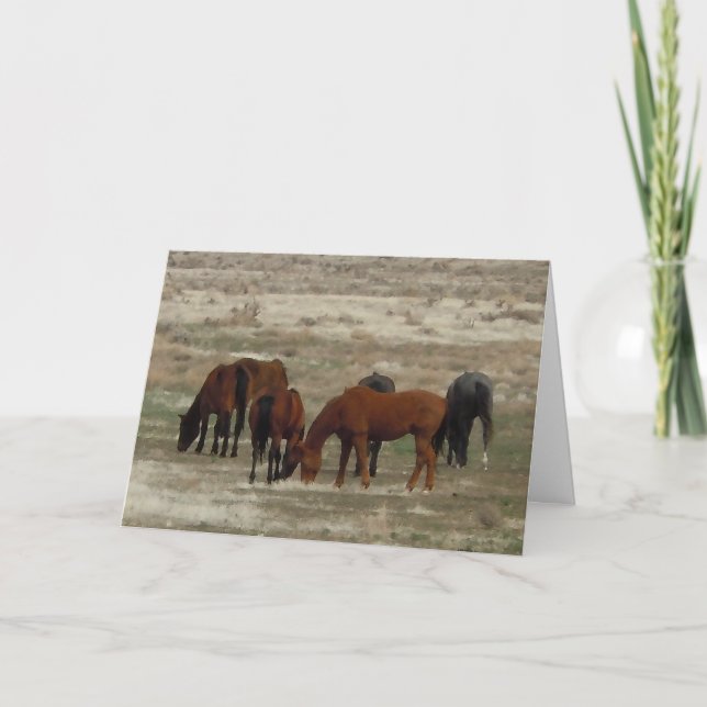 Cartão Grava-se ao novo Formando Vet - DVM de classificaç (Frente)