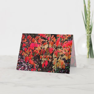 Cartão Gravando Dia de as mães Bush